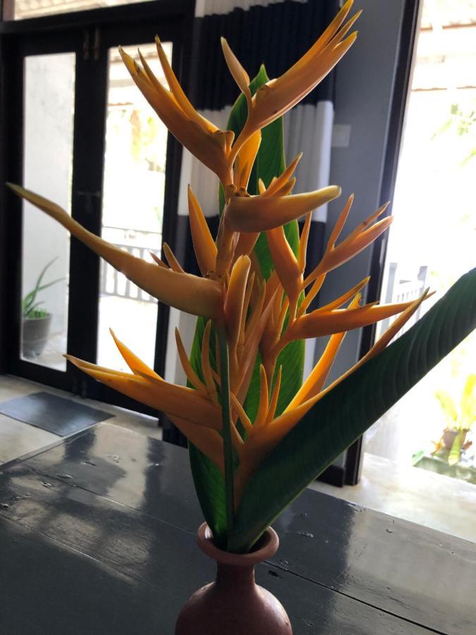Mandy House Apartment Habaraduwa Luaran gambar